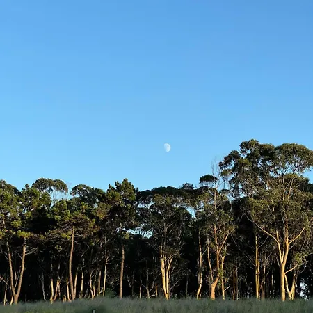 Caseria De Valeri Casa El Lagar *
